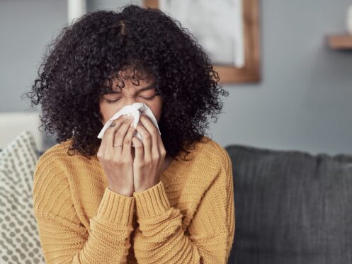 Humidifiers in Fredericksburg, VA